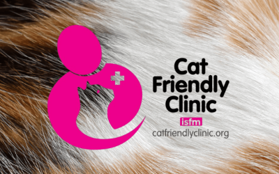 HVMG e VetShopping recebem distinção “Cat Friendly Clinic”