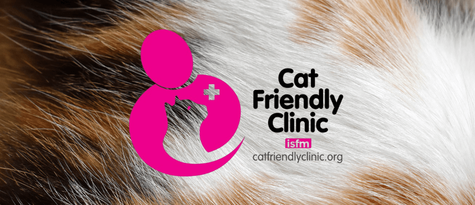 HVMG e VetShopping recebem distinção “Cat Friendly Clinic”