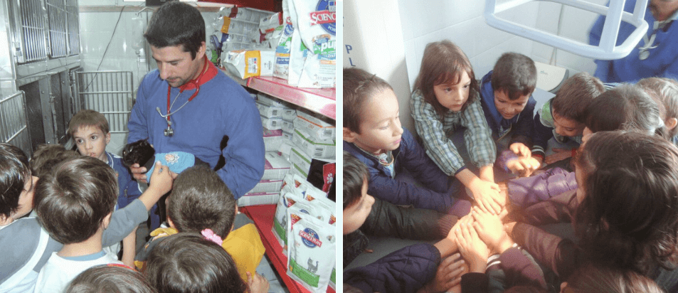 Hospital Veterinário da Marinha Grande Promove Ações de Sensibilização para o Bem-Estar Animal