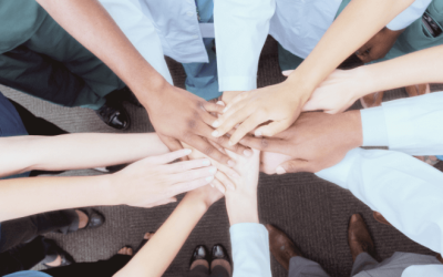 OPEN WEEK: uma semana de aprendizagem real em Medicina Veterinária