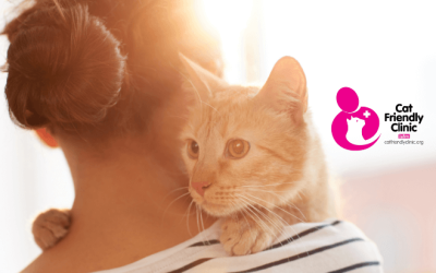 Por que levar o seu gato a uma Cat Friendly Clinic?