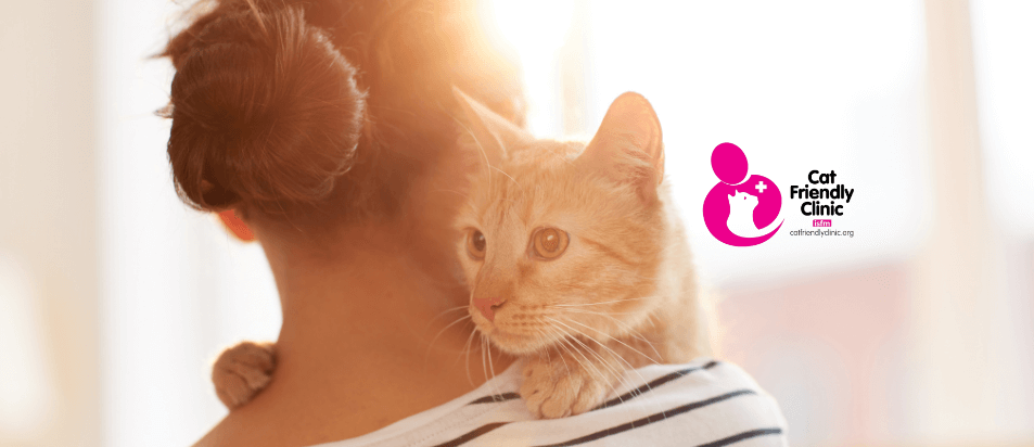 Por que levar o seu gato a uma Cat Friendly Clinic?